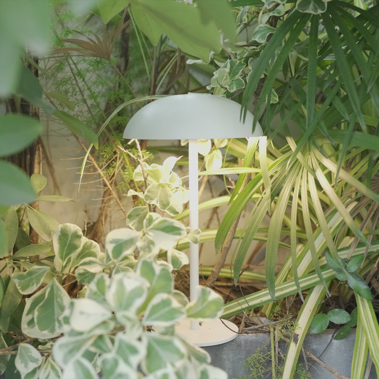 Minimalist LED Table Lamp – Relax-W Basic Collection